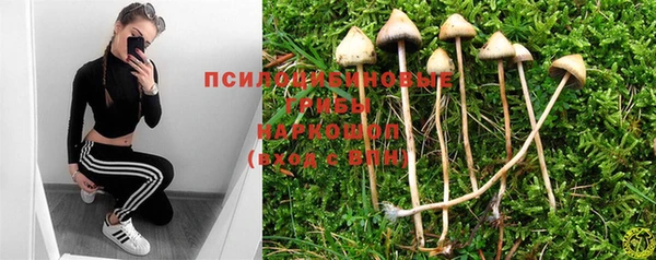 ECSTASY Абинск